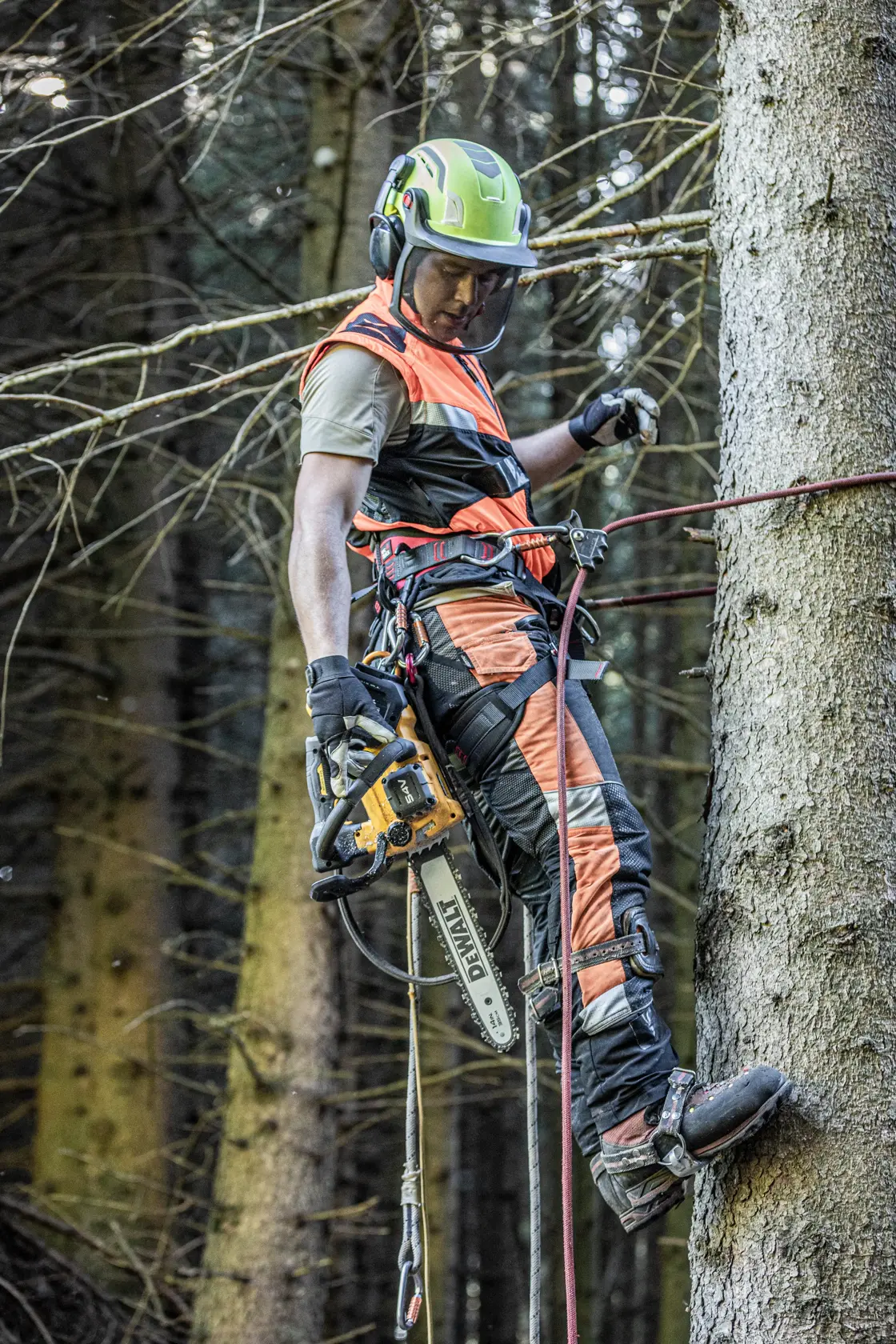 54V XR FLEXVOLT 35cm Kedjesåg utan batteri & laddare