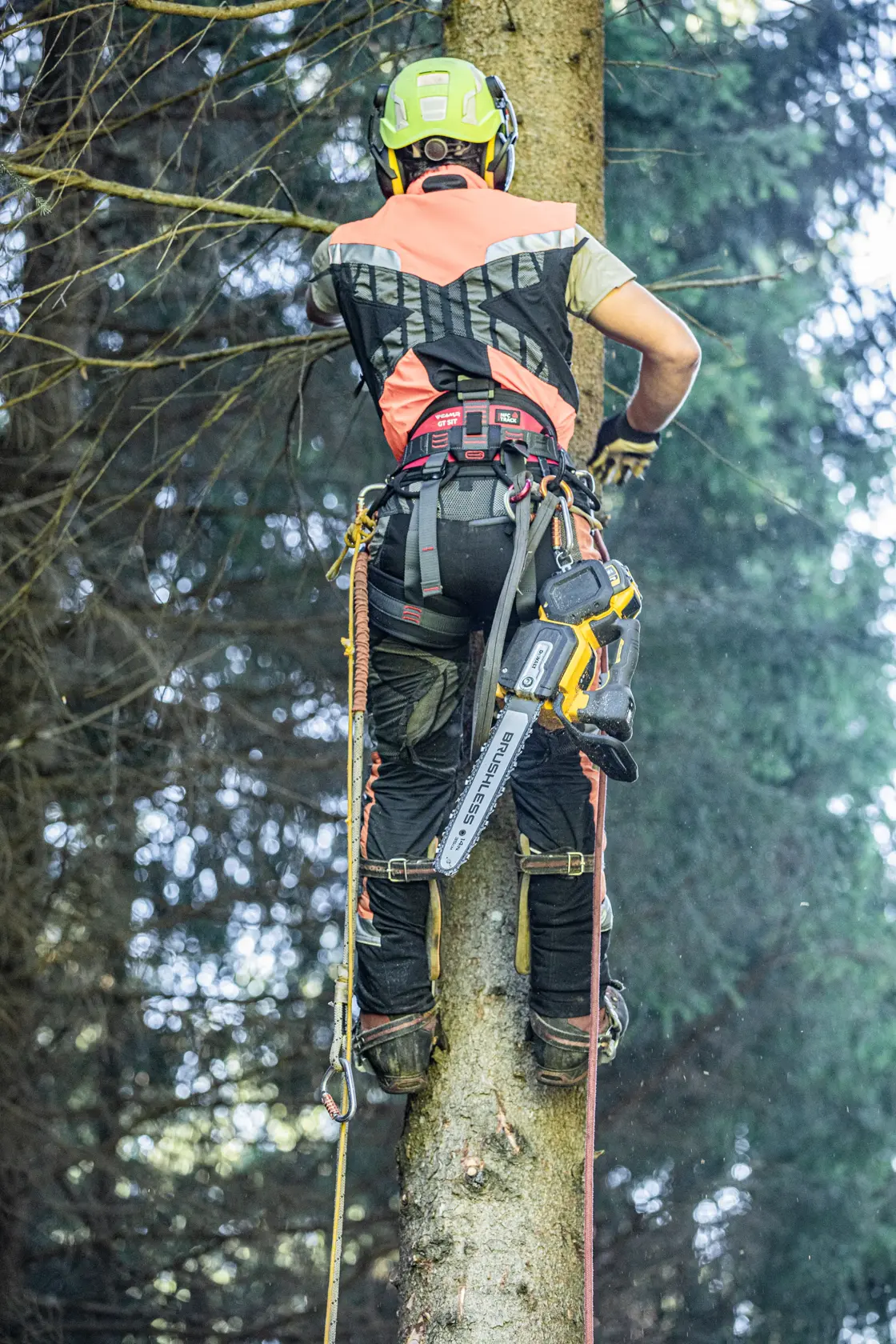 54V XR FLEXVOLT Kedjesåg Topphandtag 1x9Ah