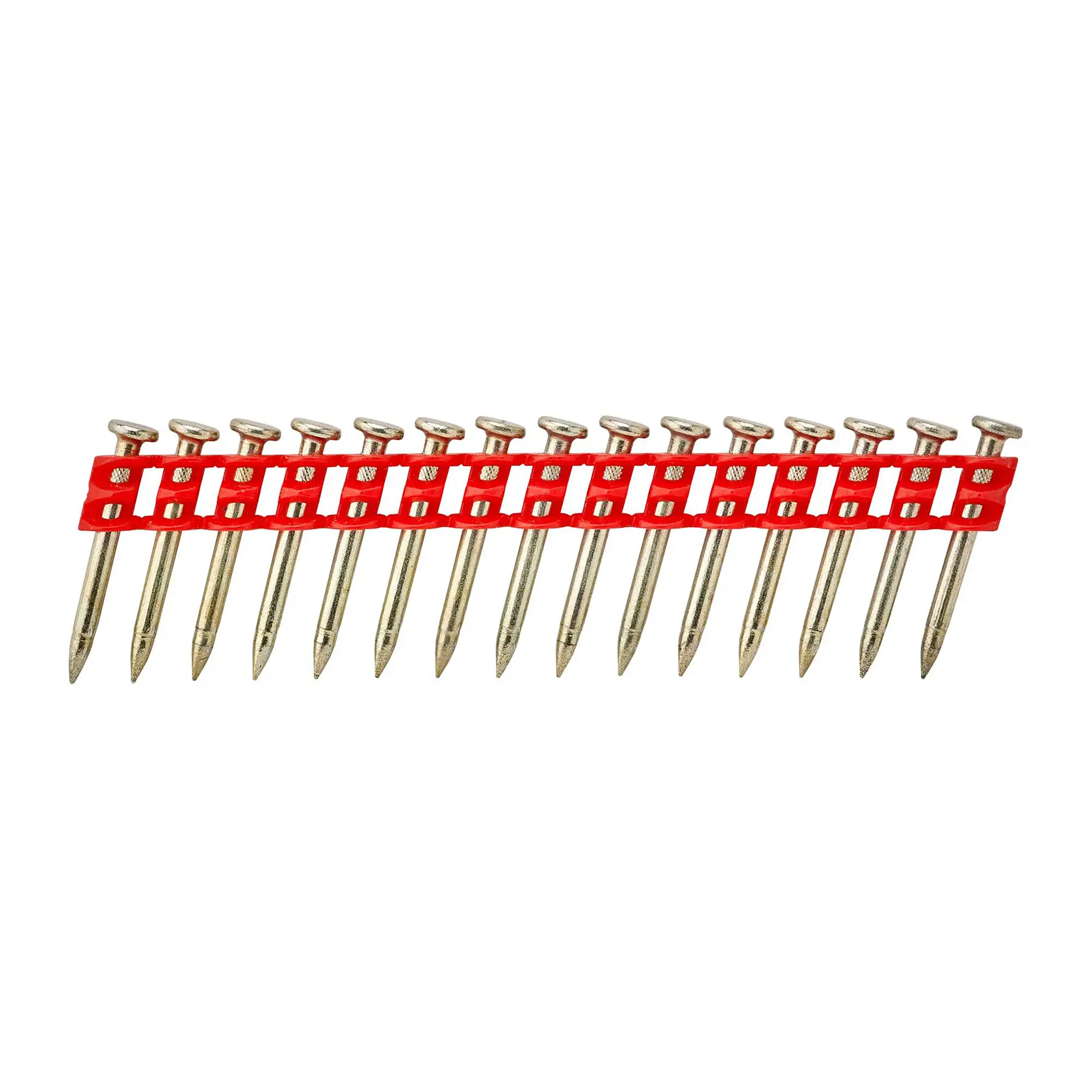 A strip of metallic nails held together by a red plastic connector, arranged in a row on a white background.